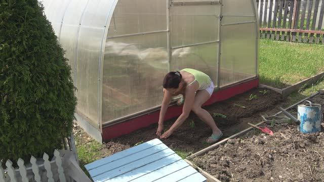 6 соток 15 мая 2023 года. Хроника.