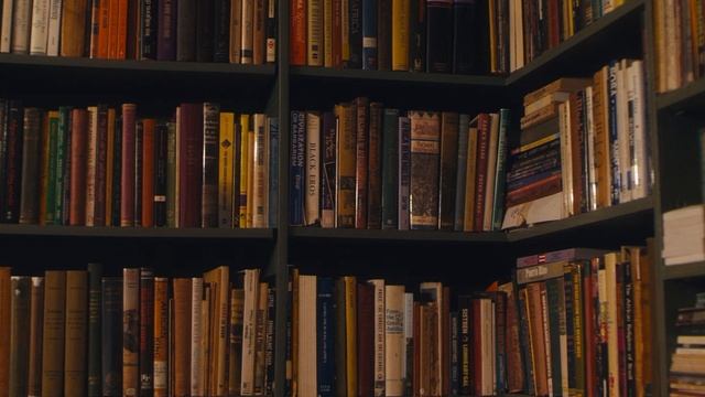 Books Shelves Library Reading by Continuous 4K | no copyright stock video footage смотреть онлайн