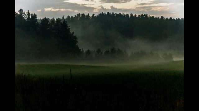 Испытание на человечность. смотреть онлайн