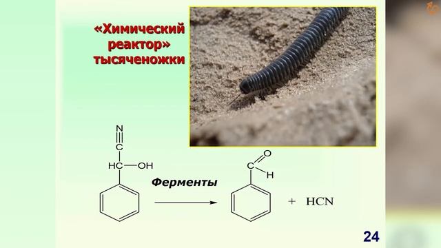 Карцова Анна - Лекция "Запах, цвет, структура" смотреть онлайн
