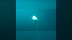 подводная съемка |Троллинг симы в приморье