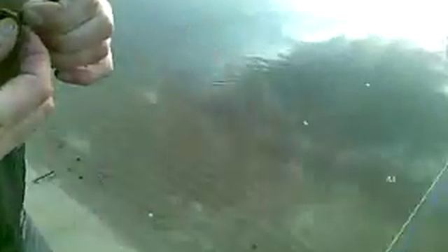 Рыбалка на Днепре. Парк Дружбы народов. Спиннинг. 16+ смотреть онлайн