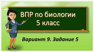 ВПР по биологии 5 класс Вариант 9. Задание 5