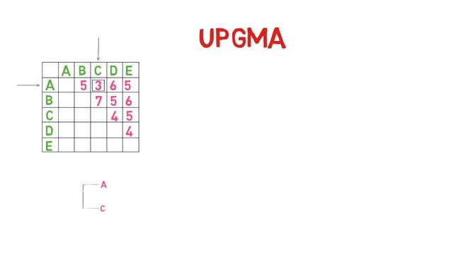 UPGMA method смотреть онлайн