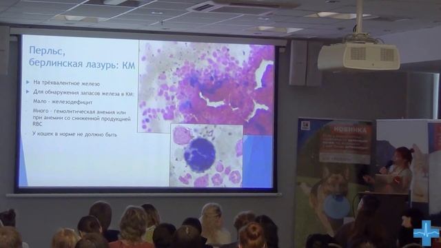 Красители в цитологии гематологии смотреть онлайн