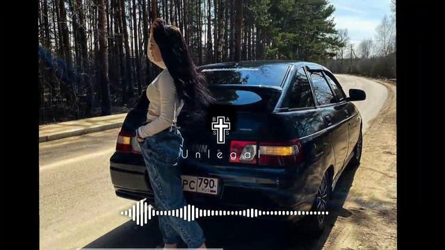 💎 Словно Ветер В Степи 💎 (Bass) (Unlegal Bass) смотреть онлайн