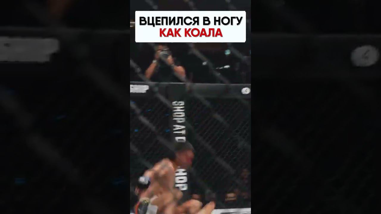 УХВАТИЛ НОГУ КАК КОАЛА | Обзор спортивного события смотреть онлайн