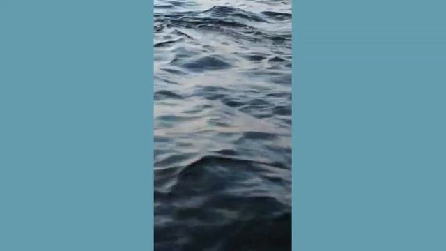 Кабан на рыбалке смотреть онлайн
