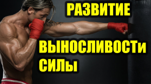 Развитие выносливости в ЕДИНОБОРСВАХ. Упражнения на боксёрском мешке.