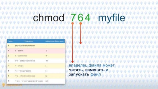 Команда chmod в Linux