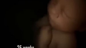 развитии ребенка в утробе матери