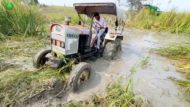 Stunts in Mud Sonalika 60 Stuck in Mud Badly Pulling by Mahindra Arjun NOVO 4x4 Tractor смотреть онлайн