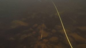 Подводная охота. Мурманская область. 2017. Сёмга. Учебный полигон)))