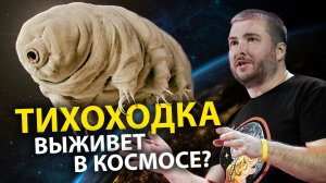 Самое живучее существо на Земле? Тихоходка против радиации, химикатов, инфекций. Ученые против мифов