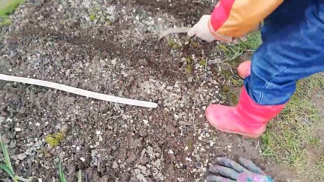 РЕЙТИНГ АЛИСЫ. Сажаем репу смотреть онлайн