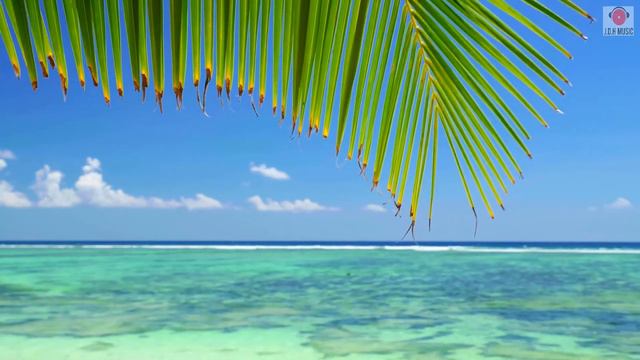 Великолепные пейзажи неповторимая природа 4К MIX #красиваямузыка #природа #4k #музыка #пейзажи смотреть онлайн