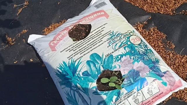 заморозка, готовка, загородка смотреть онлайн