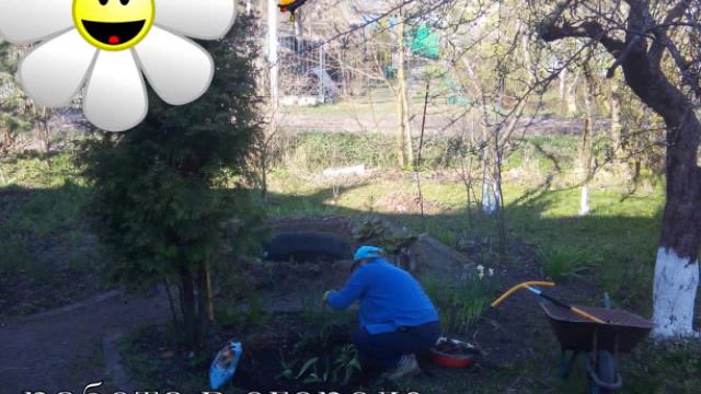 Копия видео "Жизнь как миг." #ЕленаГалкина смотреть онлайн