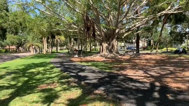 Venice Florida/Венис Флорида 2023