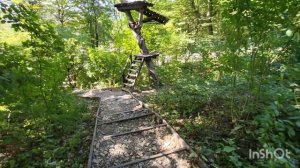 Я снова в лесу. База отдыха Дубрава. 15.08.2023.