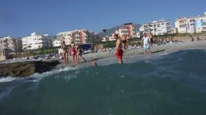 Как плавают собаки. Съёмка под водой.