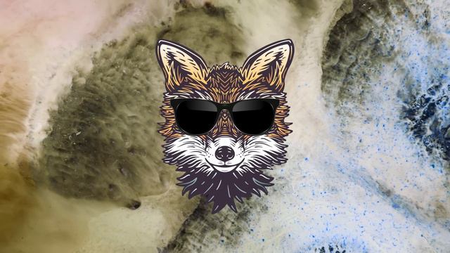 Peak Focus Soft House Study Music With Beta Isochronic Tones - Fox Mix