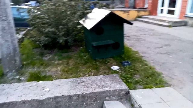 Жизнь котиков в Риге. Дома для котиков. Ой ой ой! Ми-ми-ми... смотреть онлайн