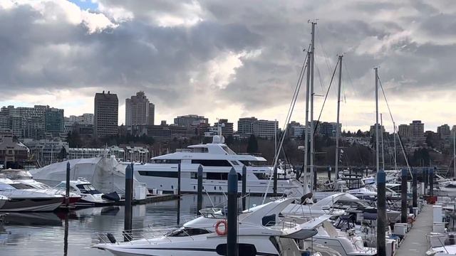 Canada 🍁Vancouver #vancouver #ocean интересное в конце 😉#2023 смотреть онлайн