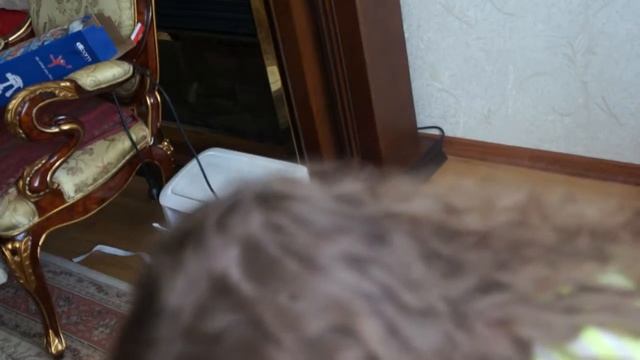 TAG: макияж на прогулку