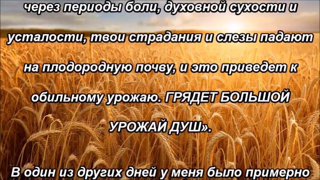 ГРЯДЕТ БОЛЬШОЙ УРОЖАЙ ДУШ смотреть онлайн