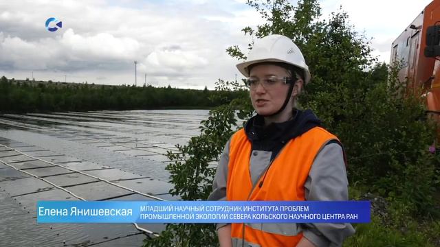 «Карельский окатыш» продолжает эксперимент по очистке воды смотреть онлайн
