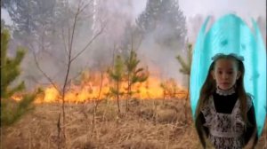 Берегите лес от пожара! Истомина Полина, 2 класс, МОУ Школа №23 г  Черемхово