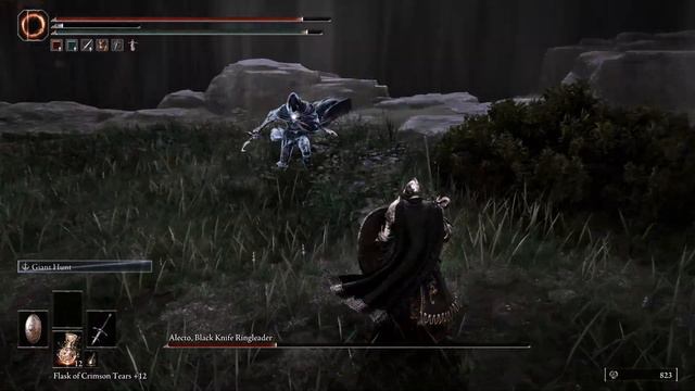 Alecto, Black Knife Ringleader - Elden Ring Reforged Mod - Master Difficulty - Pre 0.5 Update смотреть онлайн