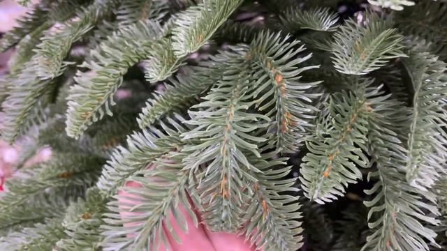 Black Box - Обзор искусственной ели Триумфальная смотреть онлайн