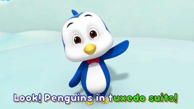 Zoo Song For Babies And Nursery Rhyme By Loco Nuts