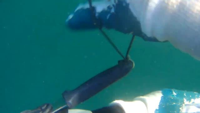 Подводная  охота  Владивосток . темный окунь. пневмат Scorpena V85+