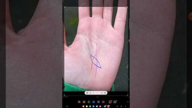 ЛЕПЕСТОК НА ЛИНИИ ЖИЗНИ. смотреть онлайн