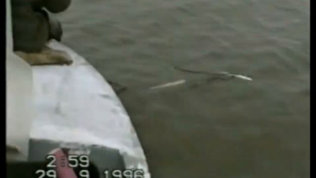 1996г Якутия На рыбалку р Колыма Среднеколымск
