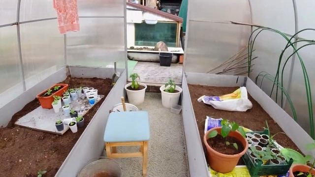 Маленькая Вера поедает щавель/Огород где все растет/Влог. смотреть онлайн