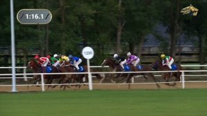 5-я Скачка. Большой Павловский Приз Дерби (Группа 1). Павловский ипподром 25.09.2021