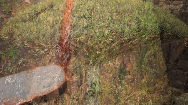 Драконово дерево смотреть онлайн