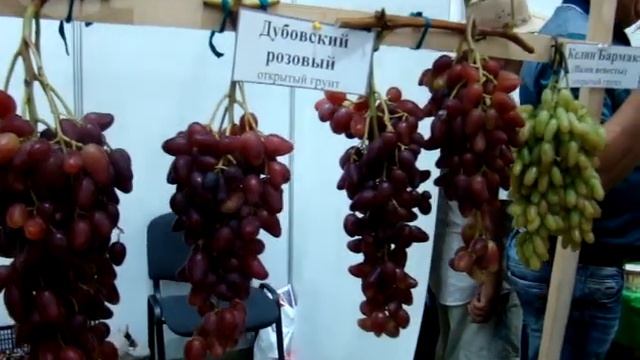 СТЕНД КИКАБИДЗЕ. ЗОЛОТАЯ ГРОЗДЬ УКРАИНЫ 2019. смотреть онлайн