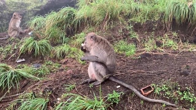 ТОП классных мест на Бали - Вулкан Батур, бассейн с прозрачным дном смотреть онлайн