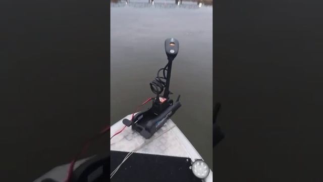 Электромотор Haswing Cayman 55Lbs смотреть онлайн