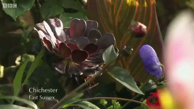 Gardeners World S 48 E 6/31 (April 10, 2015) смотреть онлайн