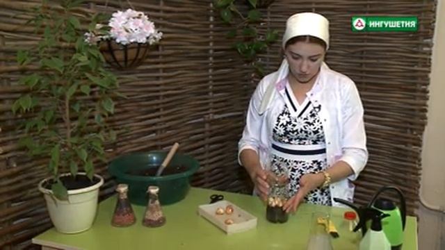 Как вырастить лук перо в пластиковой бутылке смотреть онлайн