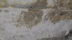 ЖИДКИЕ ПОДКРЫЛКИ ПО РЖАВЧИНЕ  ГОД СПУСТЯ - ЧТО ОСТАЛОСЬ ОТ КУЗОВА.