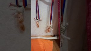 обзор на кукол и зал для художественной и воздушной гимнастики