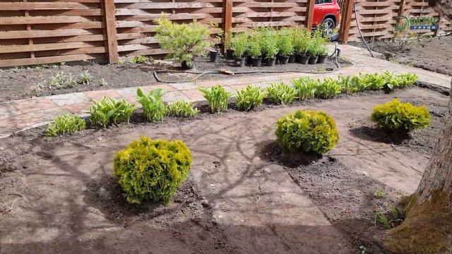 Монтаж автополива на участке. Система автоматического полива газона своими руками. смотреть онлайн