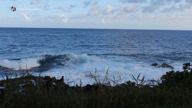 Le coste della Big Island alle Hawaii смотреть онлайн